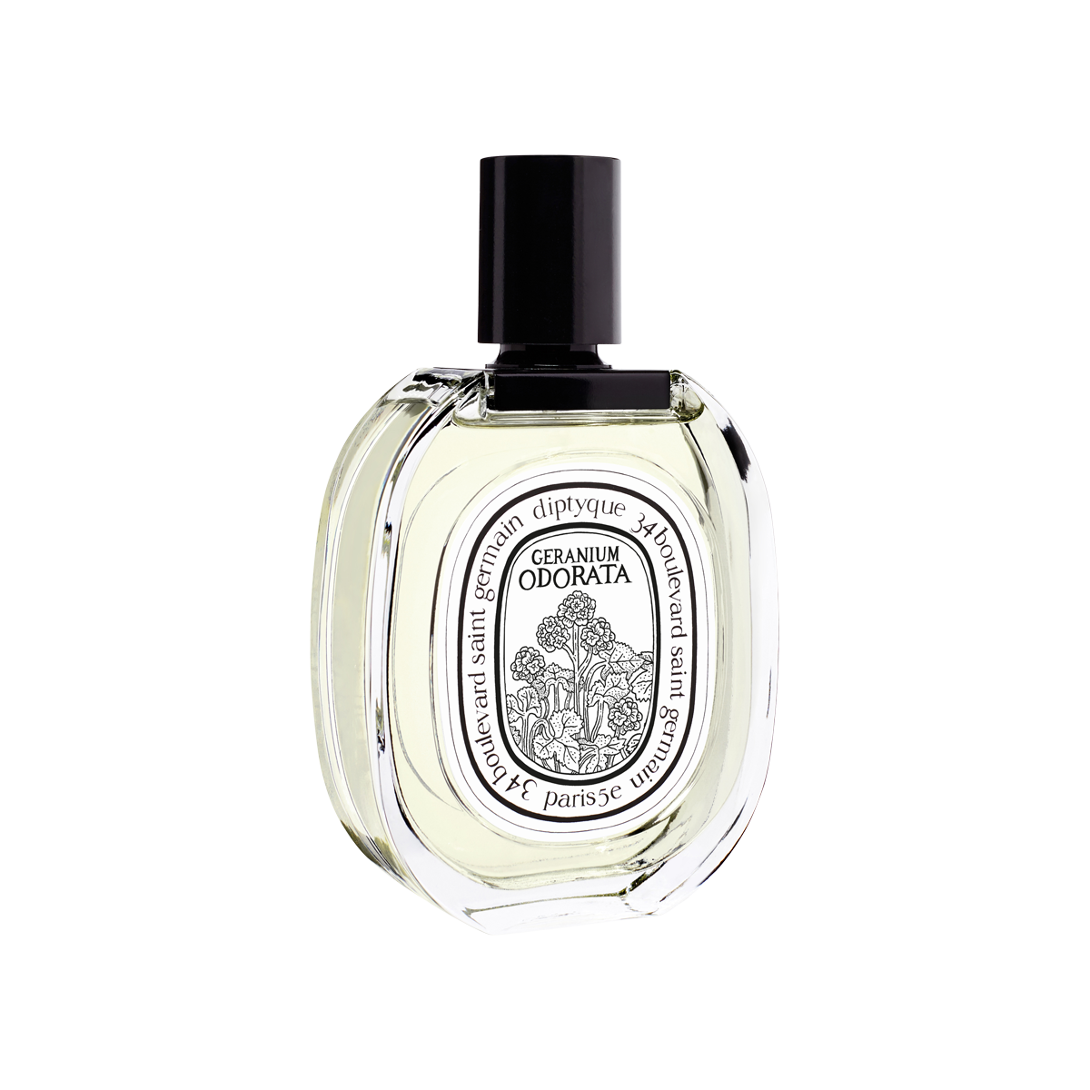 Diptyque - Geranium Odorata Eau de Toilette