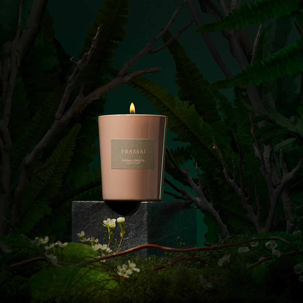 Frassai - Divina Foresta Scented Candle