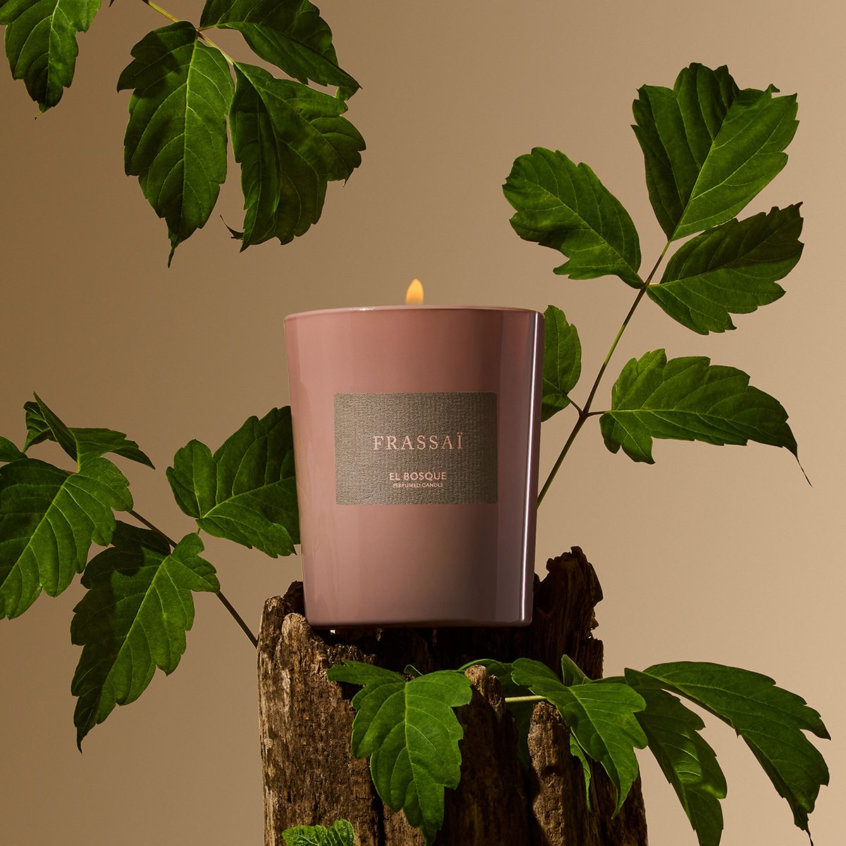 Frassai - El Bosque Scented Candle