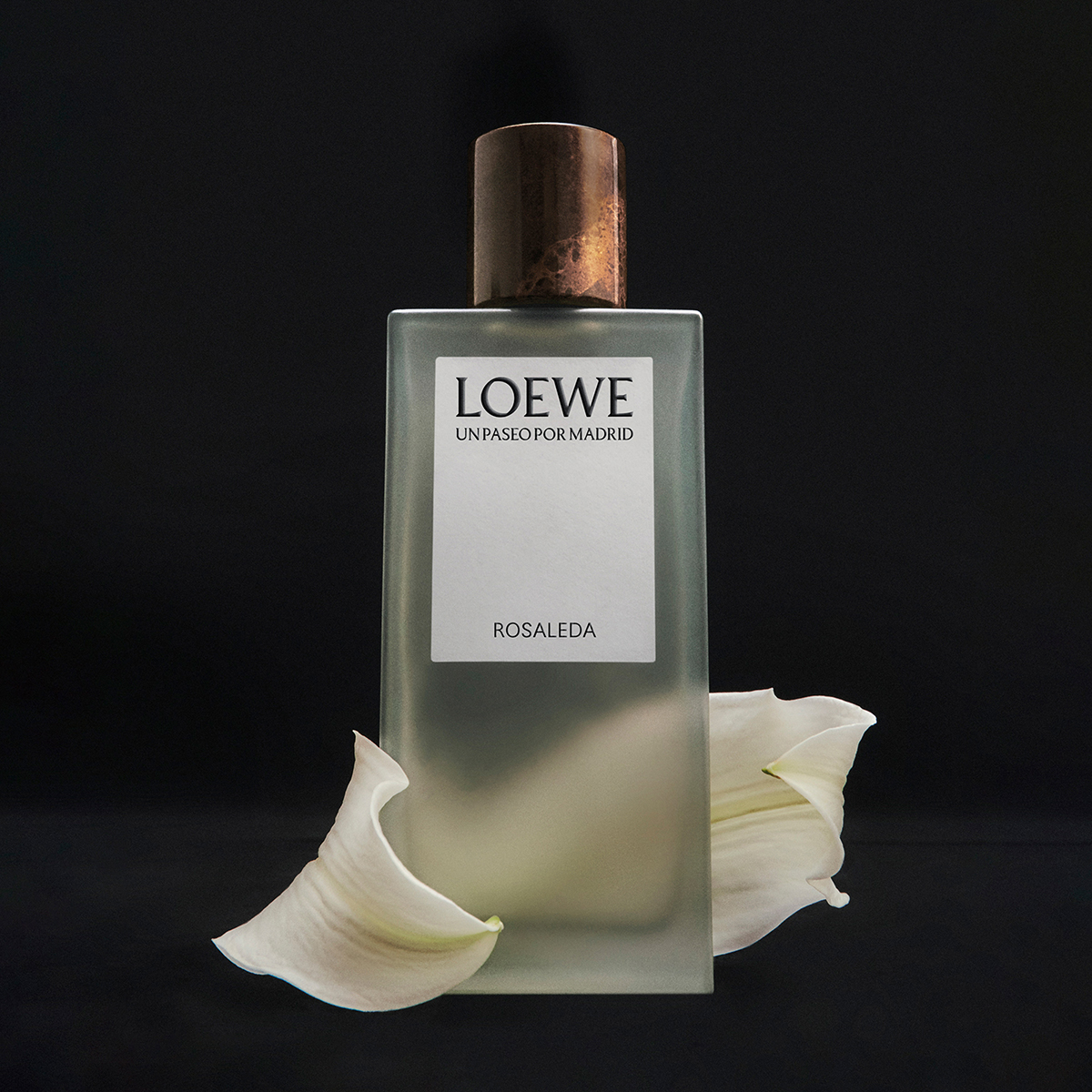 LOEWE - De La Mano Por La Rosaleda Eau de Parfum