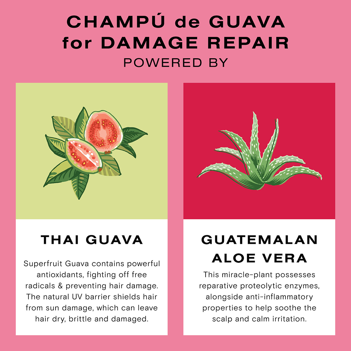 Ceremonia - Guava Protect & Repair Shampoo