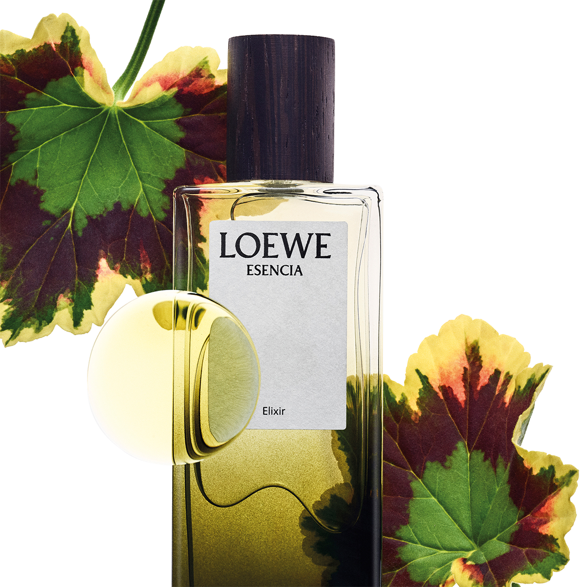 LOEWE - Esencia Elixir Eau de Parfum